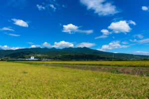 Japanese Agriculture Adventure